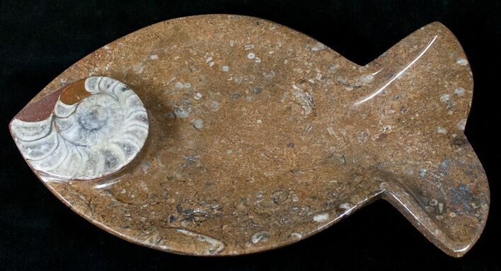 Fish-Shaped Fossil Goniatite Dish - Stoneware #14550